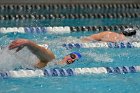 Swimming vs Bentley  Wheaton College Swimming vs Bentley. - Photo By: KEITH NORDSTROM : Wheaton, Swimming, Bentley